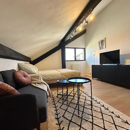 Apartmán Et Confortable A Thonon-les-Bains