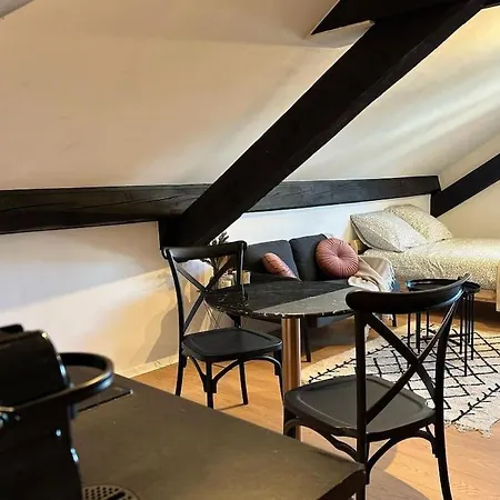 Et Confortable A Apartmán Thonon-les-Bains