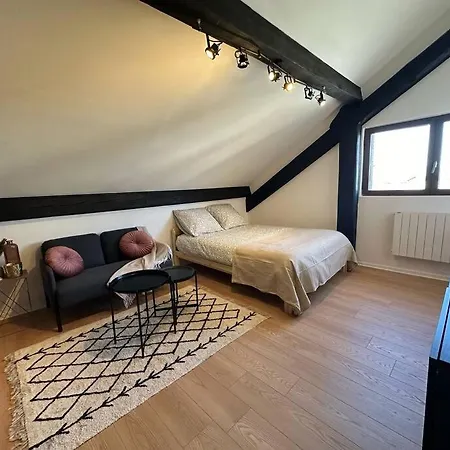 Et Confortable A Thonon-les-Bains